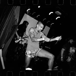 Horse the Band